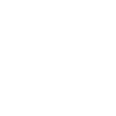 Viper Emulator